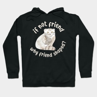 If not friend, why friend shaped? Pallas Cat Fren Hoodie